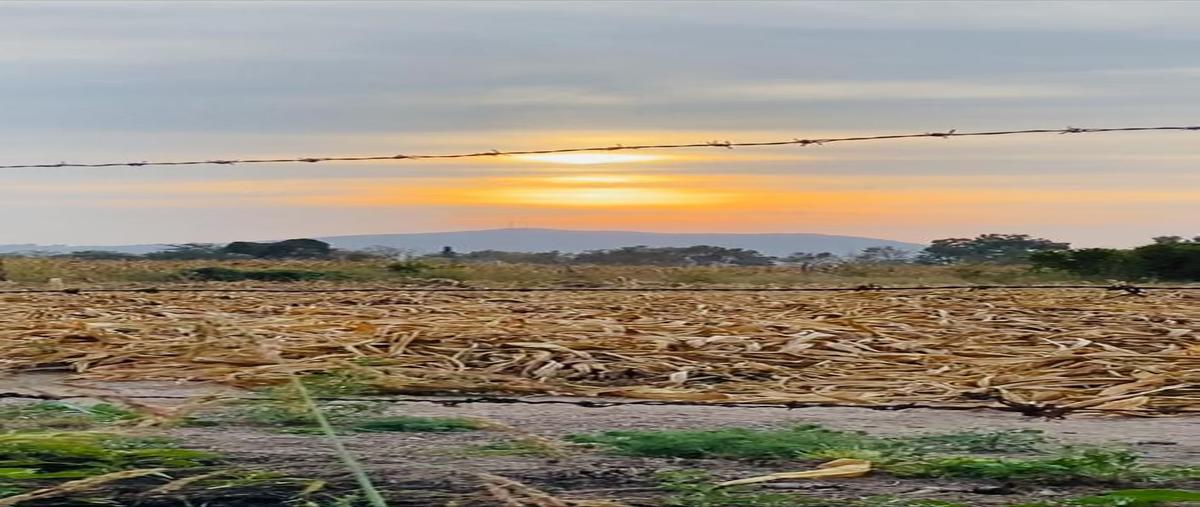 Foto de terreno comercial en venta en camino a la huerta , santa cruz de las flores, tlajomulco de zúñiga, jalisco, 0 No. 04