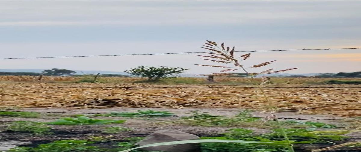 Foto de terreno comercial en venta en camino a la huerta , santa cruz de las flores, tlajomulco de zúñiga, jalisco, 0 No. 05