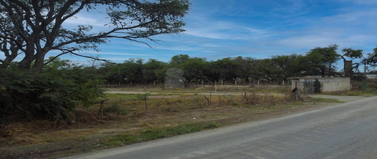 Foto de terreno comercial en camino a la isla 140, la isla, lagos de moreno, jalisco, 0 foto 01 Foto de terreno comercial en venta en camino a la isla 140, la isla, lagos de moreno, jalisco, 0 No. 01