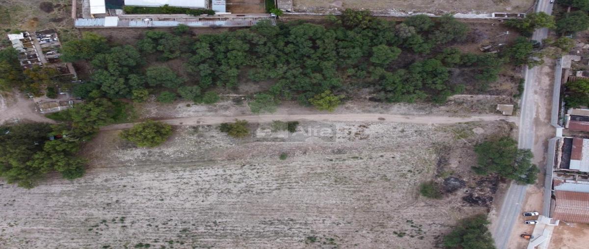 Foto de terreno comercial en camino a la isla 140, la isla, lagos de moreno, jalisco, 0 foto 05 Foto de terreno comercial en venta en camino a la isla 140, la isla, lagos de moreno, jalisco, 0 No. 05