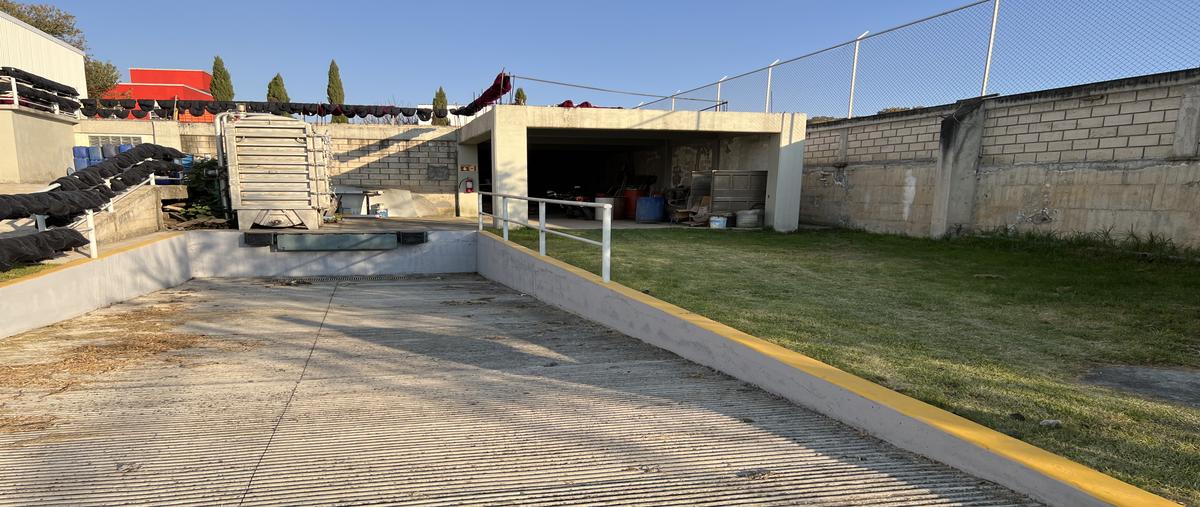 Foto de bodega en renta en camino a la joya , xalatlaco, xalatlaco, méxico, 28982131 No. 04
