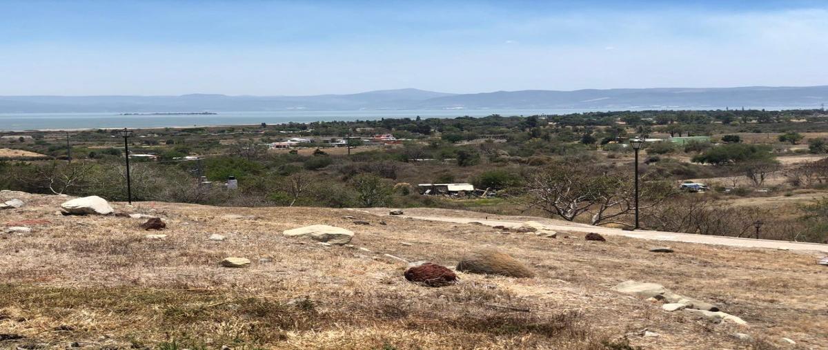 Foto de terreno habitacional en venta en camino a la labor , san nicolás de ibarra, chapala, jalisco, 28062746 No. 05