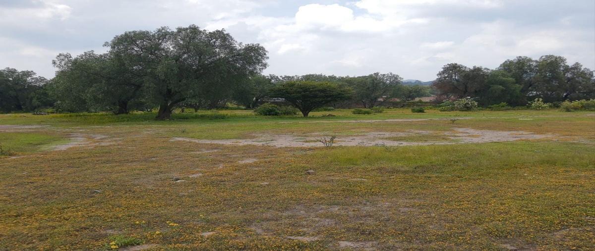 Foto de terreno habitacional en venta en camino a la loma de la 4a demarcaciónbarrio la asunción , tepetlaoxtoc de hidalgo, tepetlaoxtoc, méxico, 25806817 No. 01