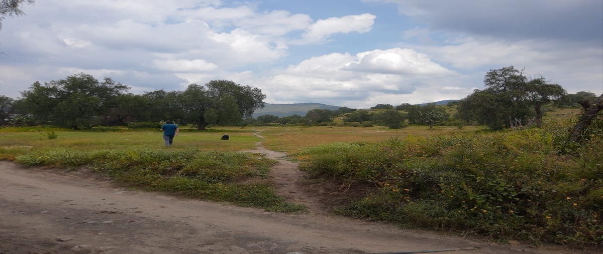 Foto de terreno habitacional en venta en camino a la loma de la 4a demarcaciónbarrio la asunción , tepetlaoxtoc de hidalgo, tepetlaoxtoc, méxico, 25806817 No. 02