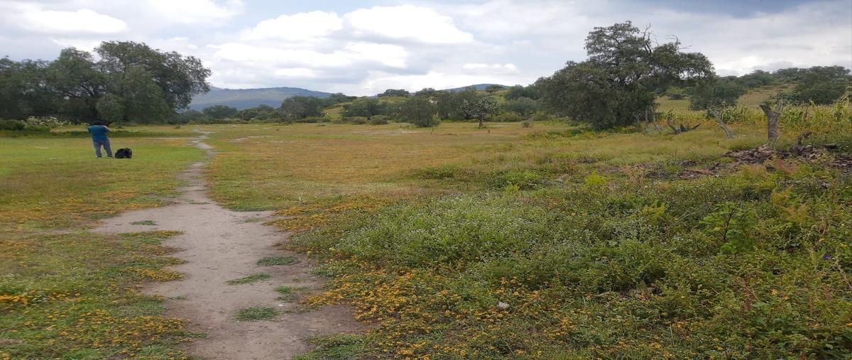 Foto de terreno habitacional en venta en camino a la loma de la 4a demarcaciónbarrio la asunción , tepetlaoxtoc de hidalgo, tepetlaoxtoc, méxico, 25806817 No. 05