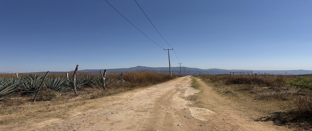 Foto de terreno habitacional en venta en camino a la mesa de san juan , san cristóbal de la barranca, san cristóbal de la barranca, jalisco, 30877749 No. 04