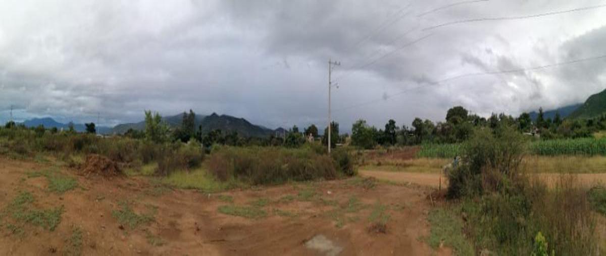 Foto de terreno habitacional en venta en camino a la palma , tlalixtac de cabrera, tlalixtac de cabrera, oaxaca, 21934475 No. 03
