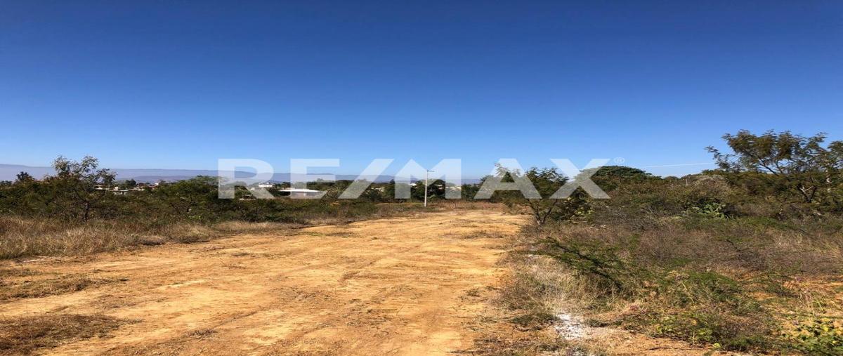 Foto de terreno habitacional en venta en camino a la palma , tlalixtac de cabrera, tlalixtac de cabrera, oaxaca, 30114825 No. 03