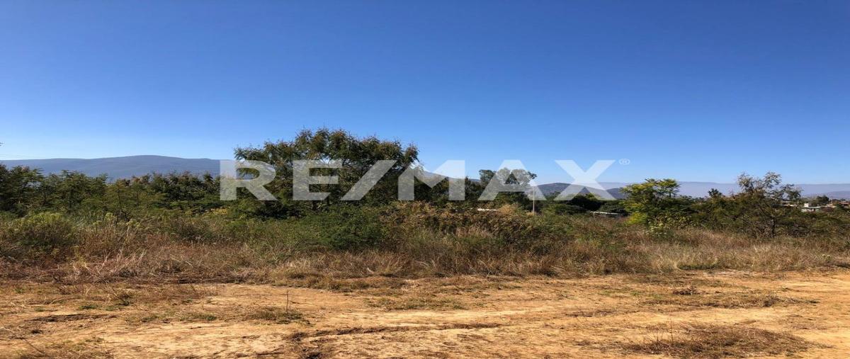 Foto de terreno habitacional en venta en camino a la palma , tlalixtac de cabrera, tlalixtac de cabrera, oaxaca, 30114825 No. 04