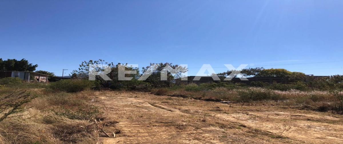 Foto de terreno habitacional en venta en camino a la palma , tlalixtac de cabrera, tlalixtac de cabrera, oaxaca, 30114825 No. 05