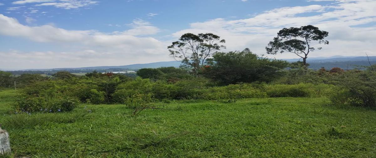 Foto de terreno habitacional en venta en camino a la palmita , san rafaelillo (la haciendita), morelia, michoacán de ocampo, 28381574 No. 03