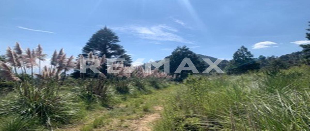 Foto de terreno habitacional en venta en camino a la pedraza parcela 1317 z-s p-3 , santiago analco, lerma, méxico, 0 No. 04