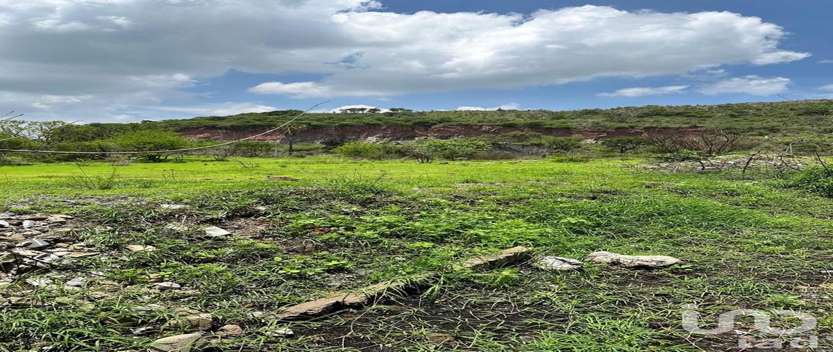 Foto de terreno habitacional en venta en camino a la piedrera 914, lomas de san agustin ii, tlajomulco de zúñiga, jalisco, 29083034 No. 03