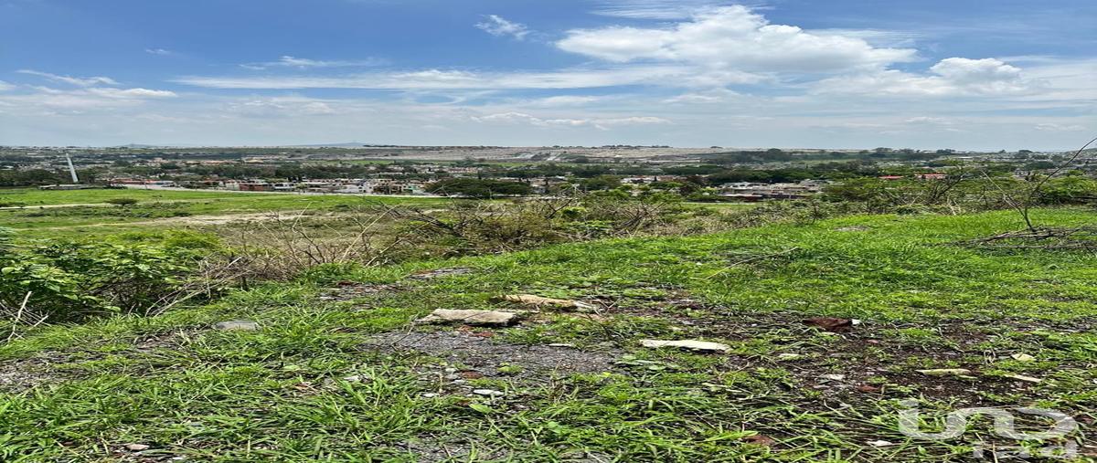Foto de terreno habitacional en venta en camino a la piedrera 914, lomas de san agustin ii, tlajomulco de zúñiga, jalisco, 29083034 No. 05