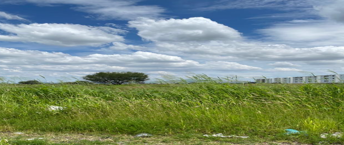 Foto de terreno habitacional en venta en camino a la presa , concepción del valle, tlajomulco de zúñiga, jalisco, 25594693 No. 04