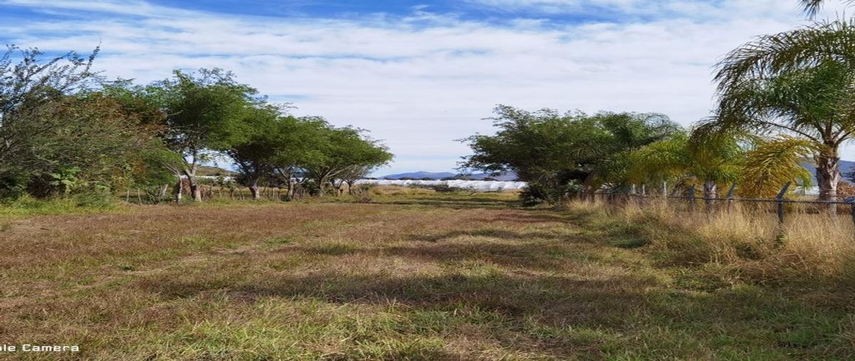 Foto de rancho en venta en camino a la primavera (solo referencia) , san isidro mazatepec, tala, jalisco, 18737806 No. 03