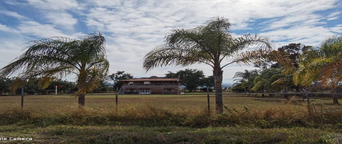 Foto de rancho en venta en camino a la primavera (solo referencia) , san isidro mazatepec, tala, jalisco, 18737806 No. 04