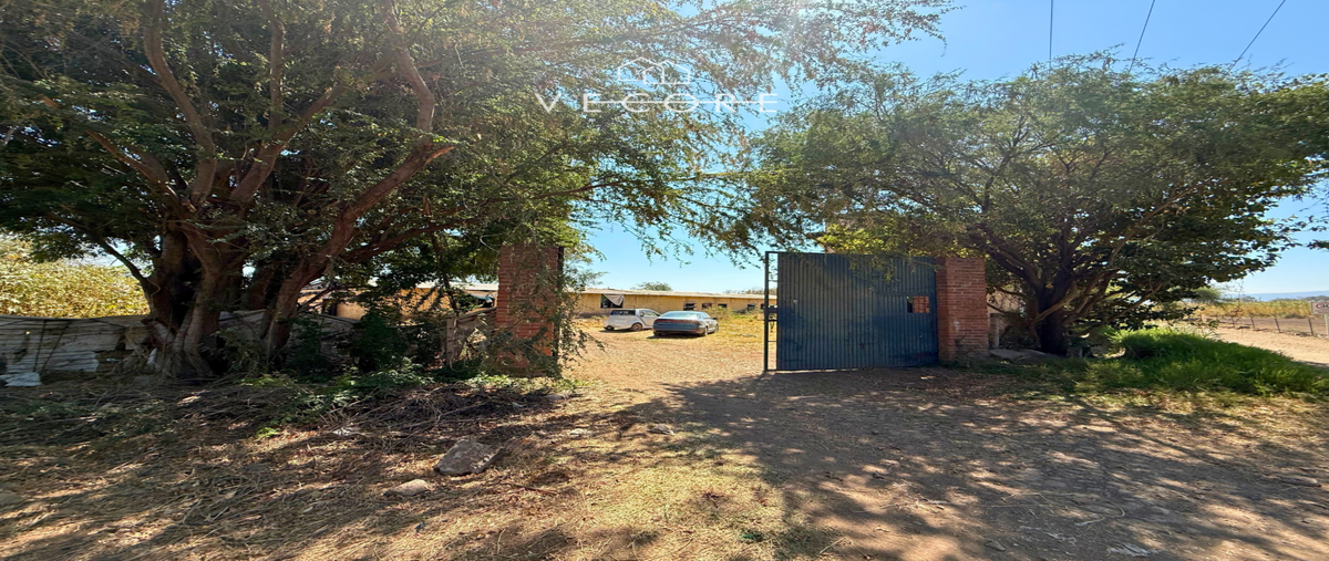 Foto de terreno habitacional en camino a la reserva , san lucas evangelista, tlajomulco de zúñiga, jalisco, 29848562 foto 04 Foto de terreno habitacional en venta en camino a la reserva , san lucas evangelista, tlajomulco de zúñiga, jalisco, 29848562 No. 04