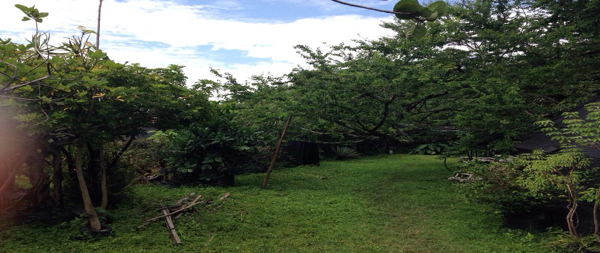 Foto de terreno habitacional en venta en camino a la secundaria , las fincas, jiutepec, morelos, 27008844 No. 03