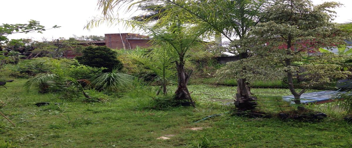 Foto de terreno habitacional en venta en camino a la secundaria , las fincas, jiutepec, morelos, 27008844 No. 05
