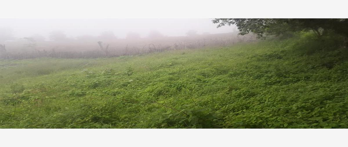 Foto de terreno habitacional en venta en camino a las antenas 2, el rodeo, tepic, nayarit, 0 No. 03