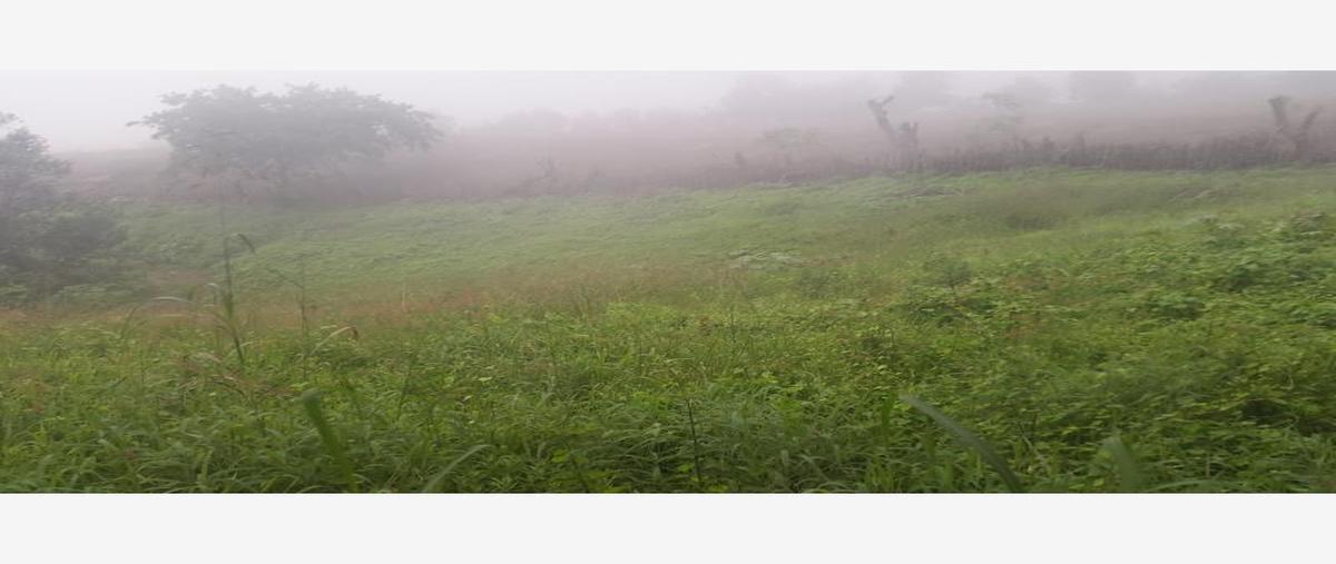 Foto de terreno habitacional en venta en camino a las antenas 2, el rodeo, tepic, nayarit, 0 No. 05