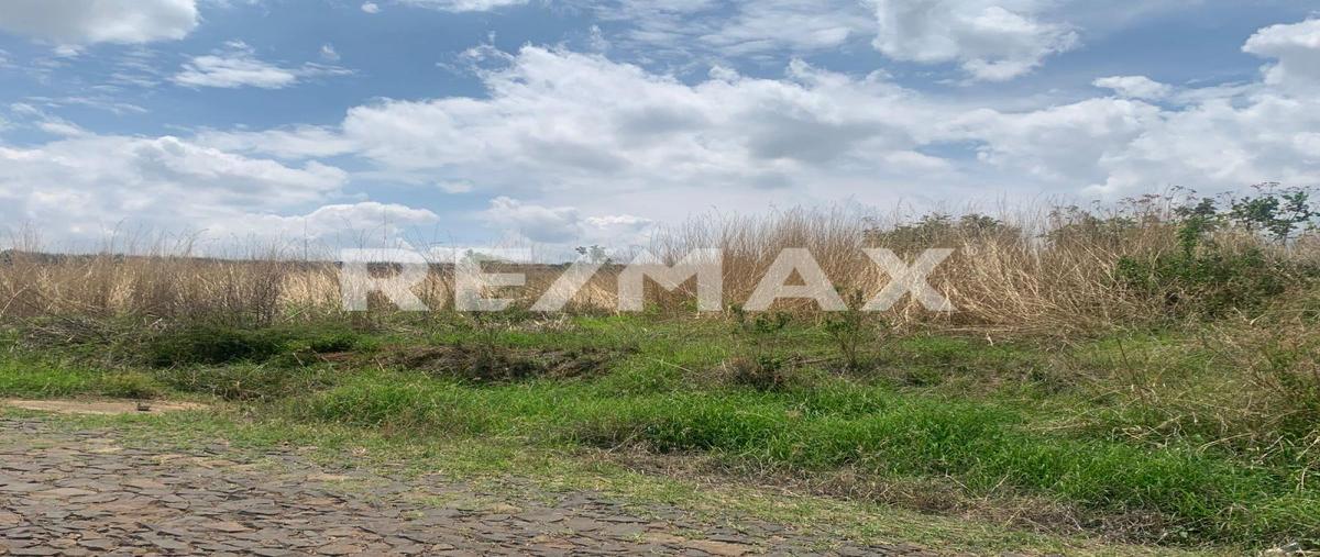 Foto de terreno habitacional en venta en camino a las cañadas silvestre , joya chica, zapotlanejo, jalisco, 30219468 No. 03