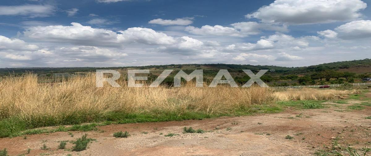 Foto de terreno habitacional en venta en camino a las cañadas silvestre , joya chica, zapotlanejo, jalisco, 30219468 No. 04