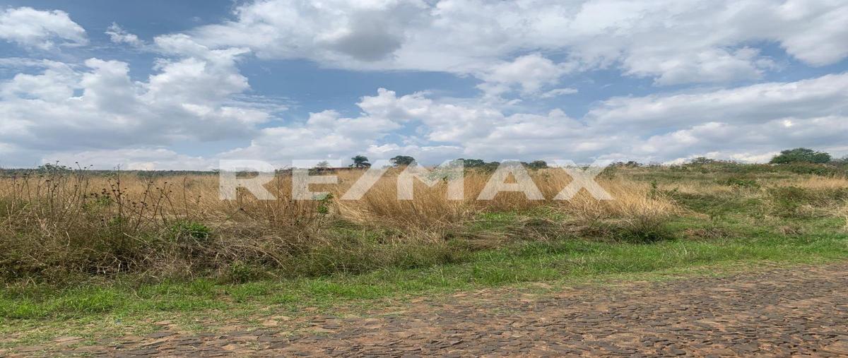 Foto de terreno habitacional en venta en camino a las cañadas silvestre , joya chica, zapotlanejo, jalisco, 30219468 No. 05