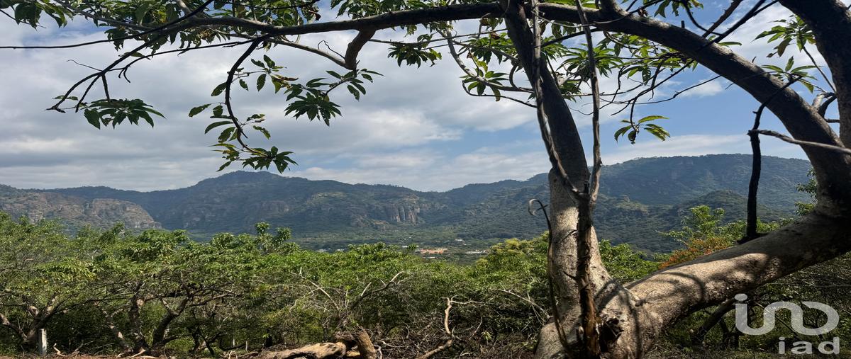 Foto de terreno habitacional en camino a las cruces , amatlán de quetzalcoatl, tepoztlán, morelos, 0 foto 01 Foto de terreno habitacional en venta en camino a las cruces , amatlán de quetzalcoatl, tepoztlán, morelos, 0 No. 01