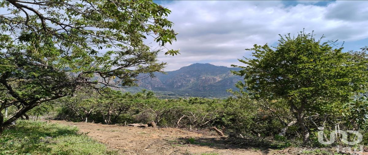 Foto de terreno habitacional en camino a las cruces , amatlán de quetzalcoatl, tepoztlán, morelos, 0 foto 02 Foto de terreno habitacional en venta en camino a las cruces , amatlán de quetzalcoatl, tepoztlán, morelos, 0 No. 02