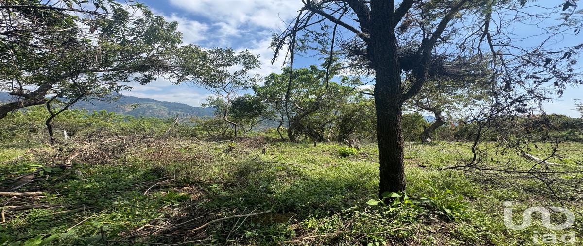 Foto de terreno habitacional en camino a las cruces , amatlán de quetzalcoatl, tepoztlán, morelos, 0 foto 04 Foto de terreno habitacional en venta en camino a las cruces , amatlán de quetzalcoatl, tepoztlán, morelos, 0 No. 04