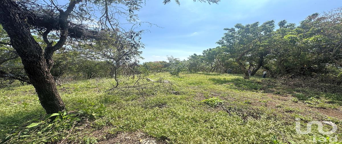 Foto de terreno habitacional en camino a las cruces , amatlán de quetzalcoatl, tepoztlán, morelos, 0 foto 05 Foto de terreno habitacional en venta en camino a las cruces , amatlán de quetzalcoatl, tepoztlán, morelos, 0 No. 05