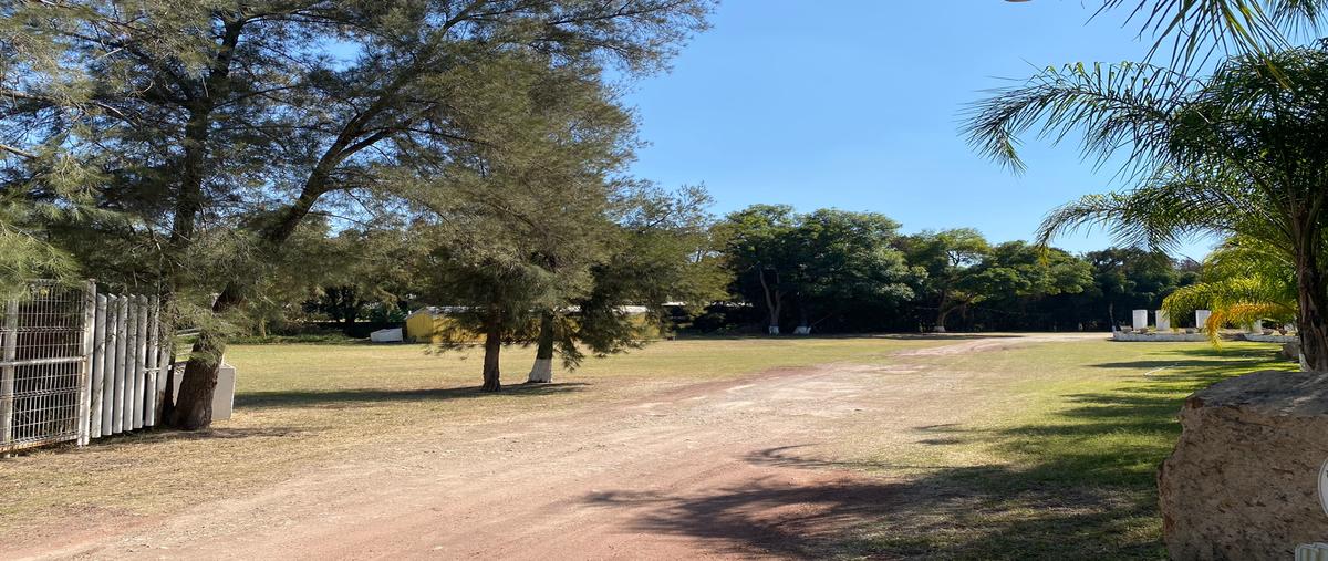 Foto de terreno habitacional en venta en camino a las islas , el maestranzo 1, zapotlanejo, jalisco, 28842451 No. 03