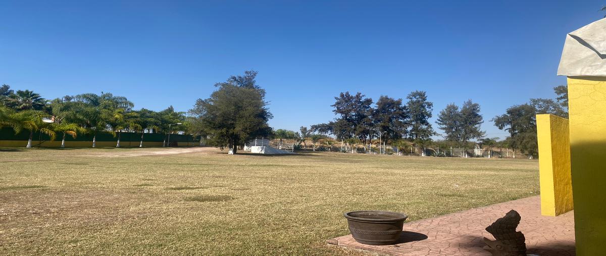 Foto de terreno habitacional en venta en camino a las islas , el maestranzo 1, zapotlanejo, jalisco, 28842451 No. 04