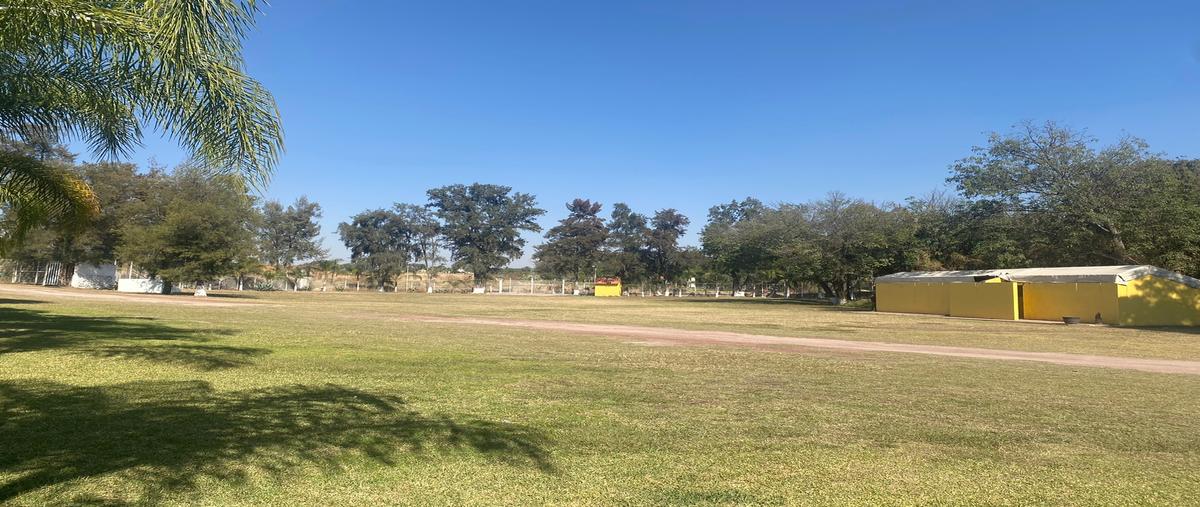 Foto de terreno habitacional en venta en camino a las islas , el maestranzo 1, zapotlanejo, jalisco, 28842451 No. 05