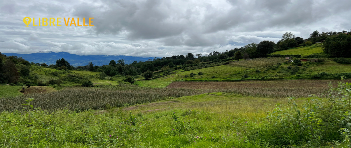 Foto de terreno habitacional en venta en camino a las mesas , rincón villa del valle, valle de bravo, méxico, 27514130 No. 03