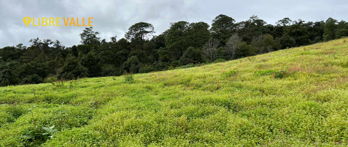 Foto de terreno habitacional en venta en camino a las mesas , rincón villa del valle, valle de bravo, méxico, 27514130 No. 04