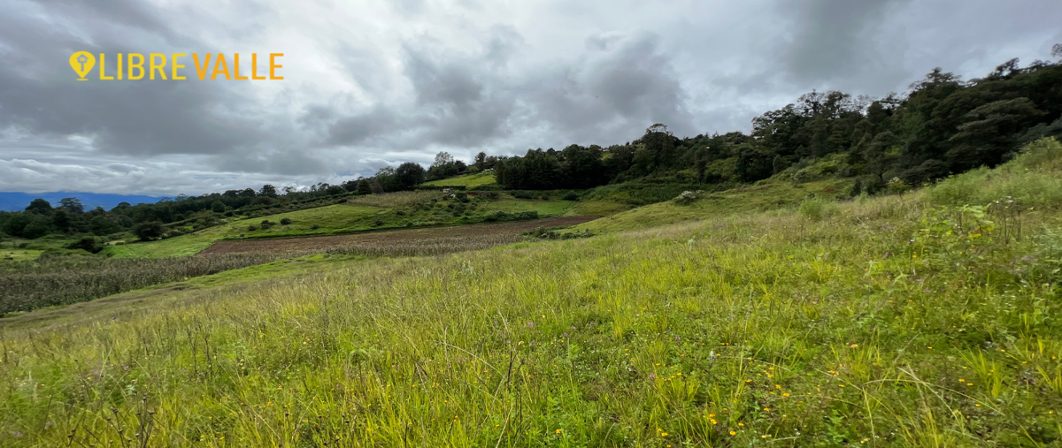 Foto de terreno habitacional en venta en camino a las mesas , rincón villa del valle, valle de bravo, méxico, 27514130 No. 05