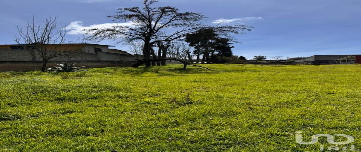 Foto de terreno habitacional en venta en camino a las minas , cruz blanca, villa aldama, veracruz de ignacio de la llave, 30602754 No. 04