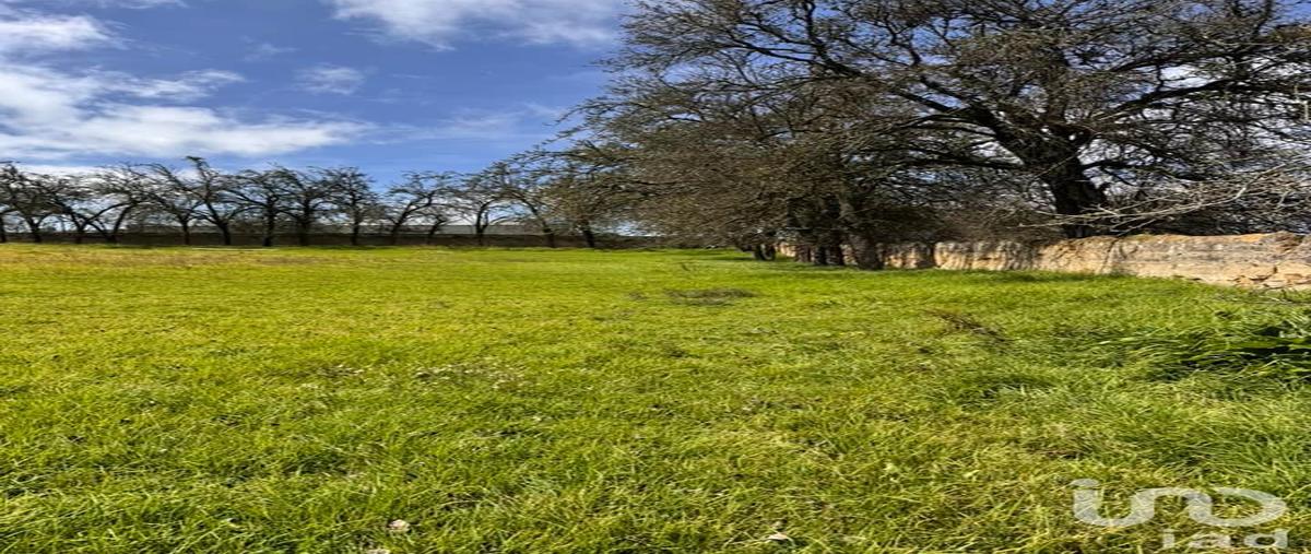 Foto de terreno habitacional en venta en camino a las minas , cruz blanca, villa aldama, veracruz de ignacio de la llave, 30602754 No. 05