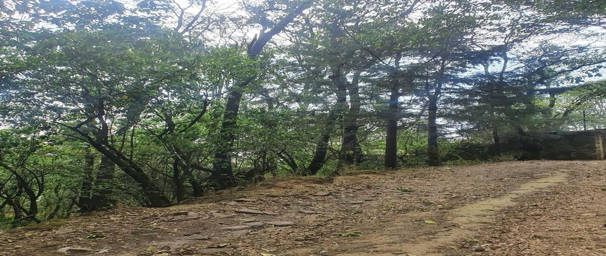 Foto de terreno habitacional en venta en camino a las pozas , huiloteapan (san josé huiloteapan), huixquilucan, méxico, 24910909 No. 03