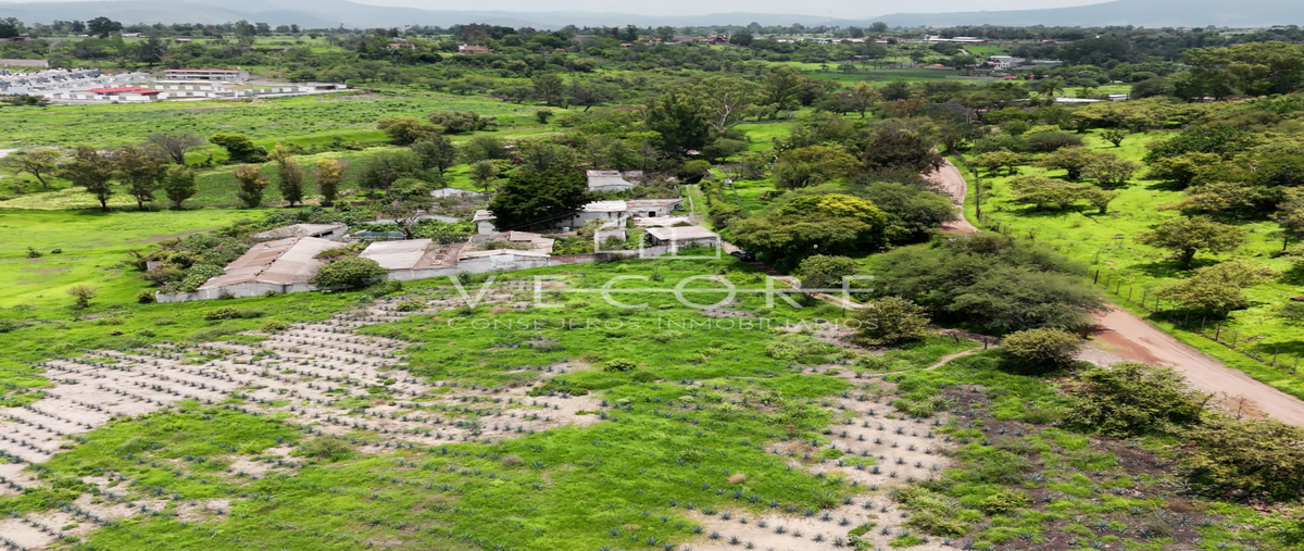 Foto de terreno habitacional en venta en camino a los arcos , juanacatlan, juanacatlán, jalisco, 0 No. 05