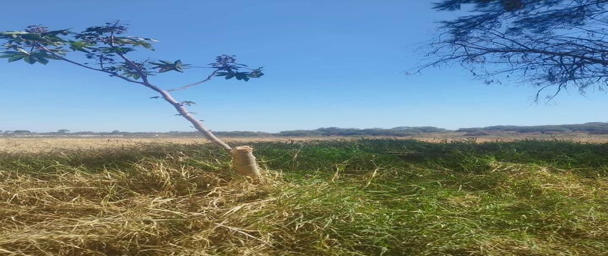 Foto de terreno habitacional en venta en camino a los arcos , puente viejo, tonalá, jalisco, 29518603 No. 05