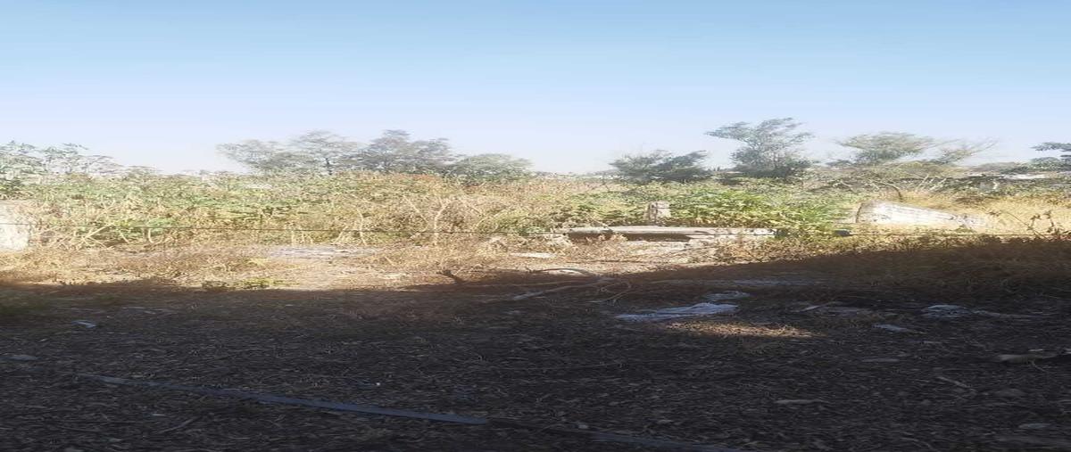 Foto de terreno habitacional en venta en camino a los arcos , puente viejo, tonalá, jalisco, 29518603 No. 06