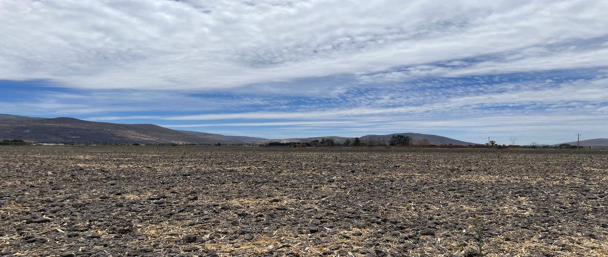 Foto de terreno habitacional en venta en camino a los invernaderos , san miguel cuyutlan, tlajomulco de zúñiga, jalisco, 0 No. 02