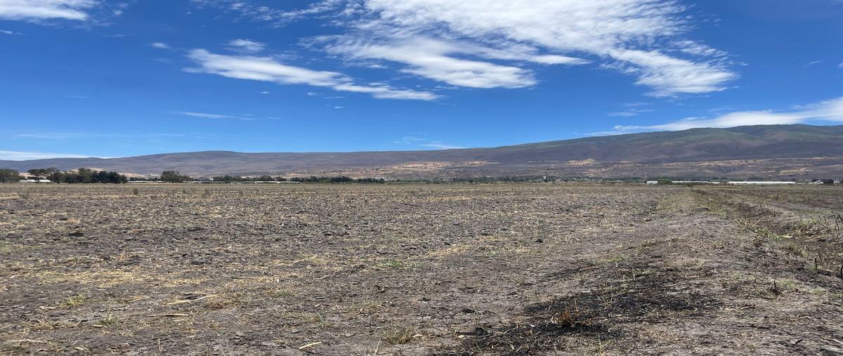 Foto de terreno habitacional en venta en camino a los invernaderos , san miguel cuyutlan, tlajomulco de zúñiga, jalisco, 0 No. 03