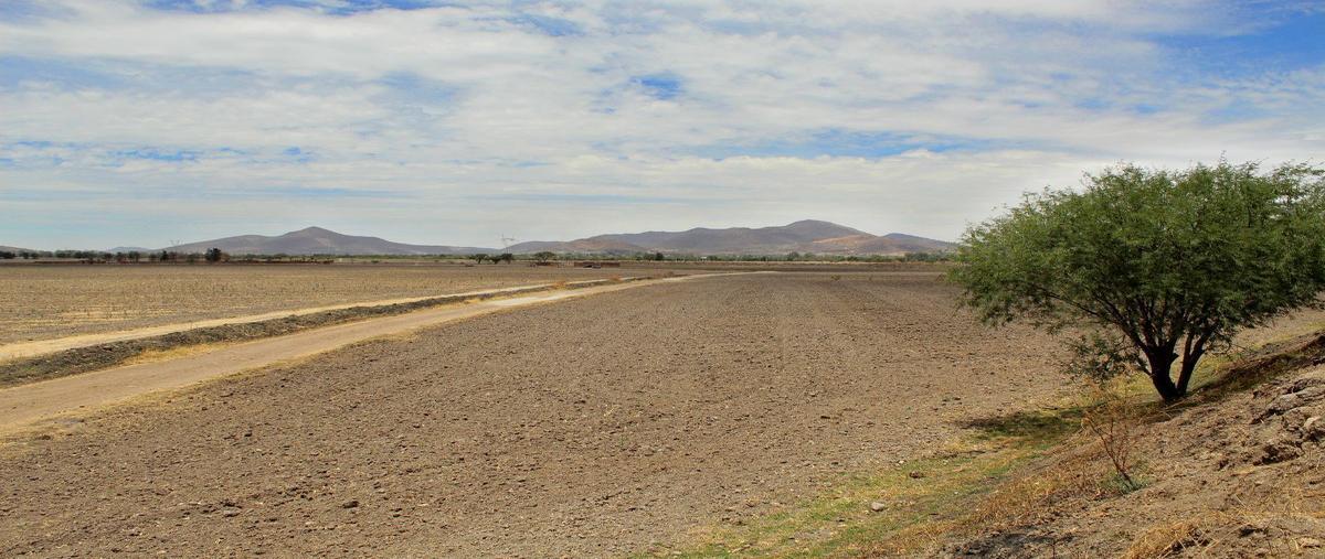 Foto de terreno habitacional en venta en camino a los invernaderos , san miguel cuyutlan, tlajomulco de zúñiga, jalisco, 0 No. 05