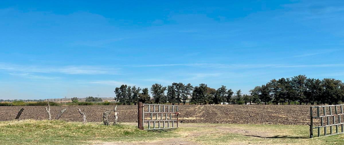 Foto de terreno habitacional en camino a los invernaderos , san miguel cuyutlan, tlajomulco de zúñiga, jalisco, 28891541 foto 03 Foto de terreno habitacional en venta en camino a los invernaderos , san miguel cuyutlan, tlajomulco de zúñiga, jalisco, 28891541 No. 03