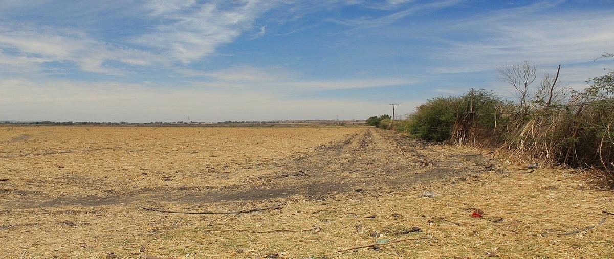 Foto de terreno industrial en camino a los invernaderos , san miguel cuyutlan, tlajomulco de zúñiga, jalisco, 0 foto 05 Foto de terreno industrial en venta en camino a los invernaderos , san miguel cuyutlan, tlajomulco de zúñiga, jalisco, 0 No. 05
